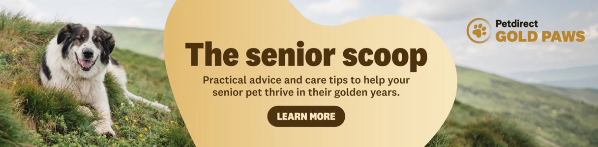 00HP -  Senior Scoop Homepage Banner July 2026