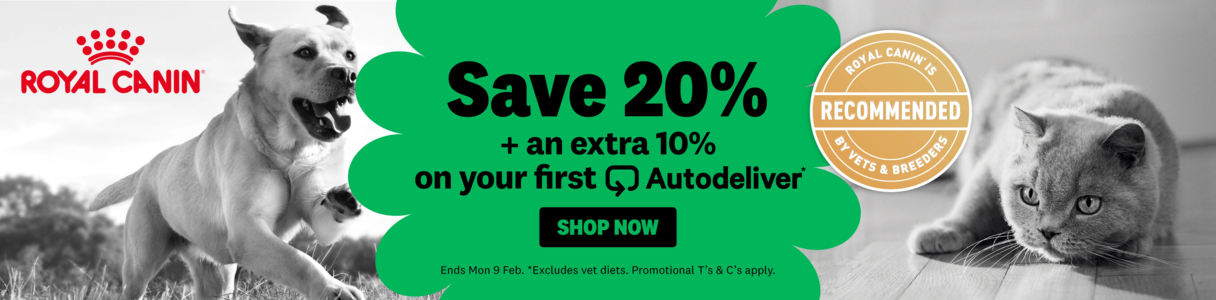 00HP - Royal Canin Bottom Supplier Homepage Banner Jan 2026