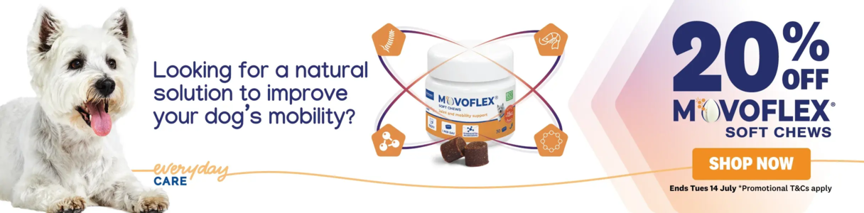 00HP - Movoflex Bottom Homepage Banner July 2026