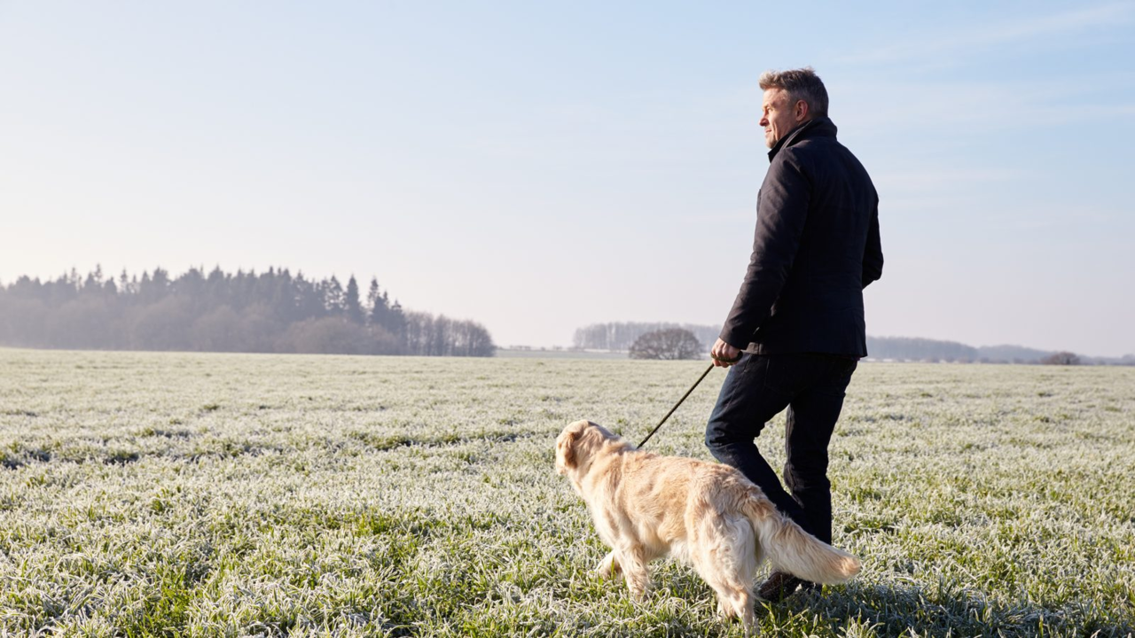 Reading Your Senior Dog's Comfort in Cold Weather