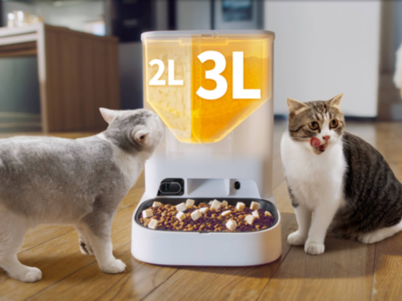 Best Smart Feeders for Multiple Cats: Top Picks for Kiwi Homes