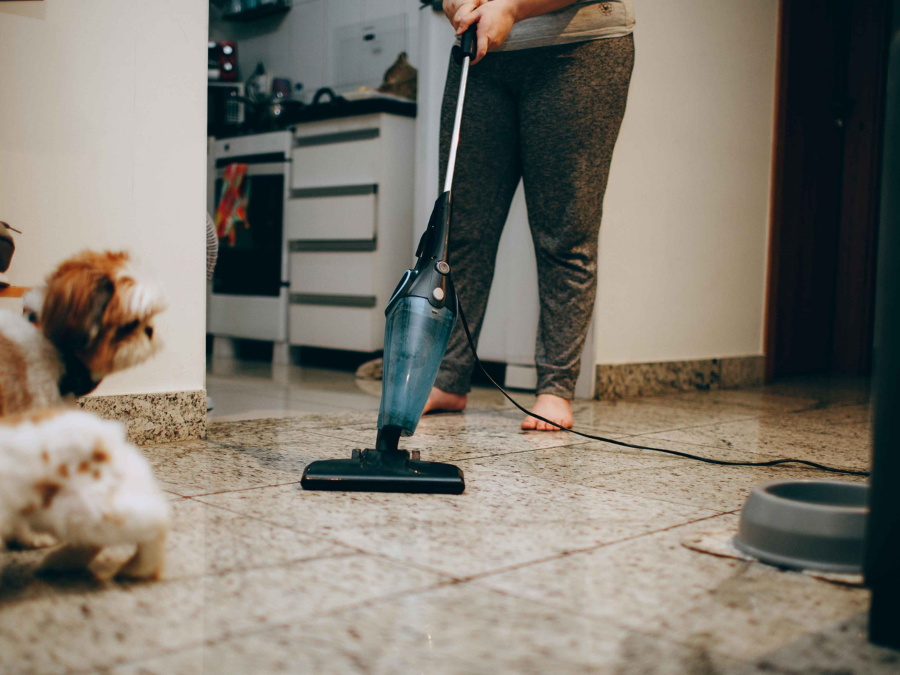 DIY Spring Cleaning Checklist for Pet Parents: Keep Your Home Pet-Friendly
