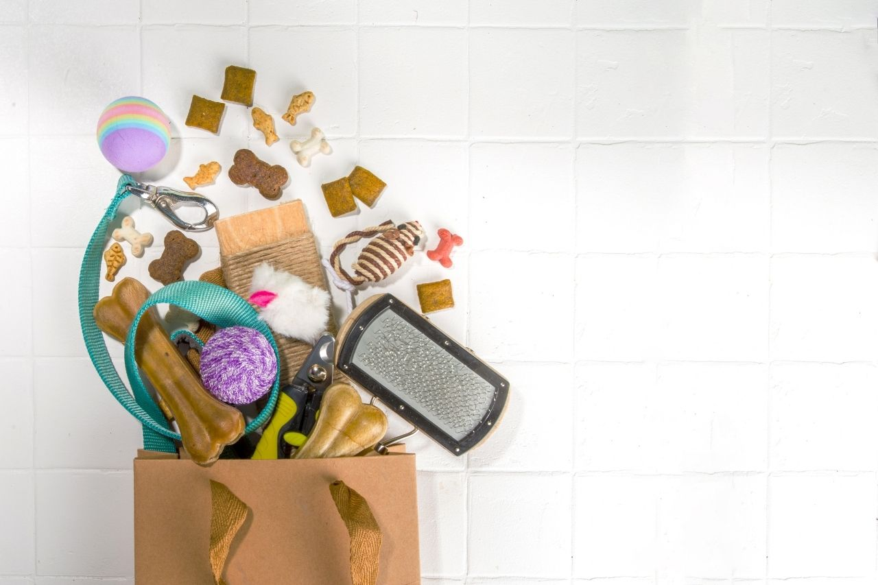 New Year Pet Care Checklist for Dogs and Cats 2026