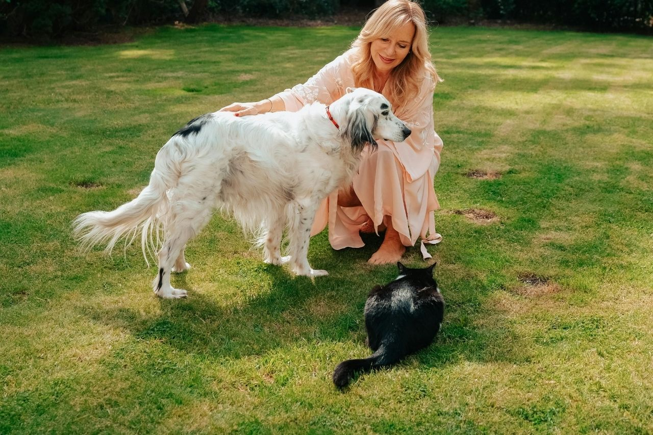 A Simple Guide To Bomazeal: Joint Support For Dogs and Cats In NZ