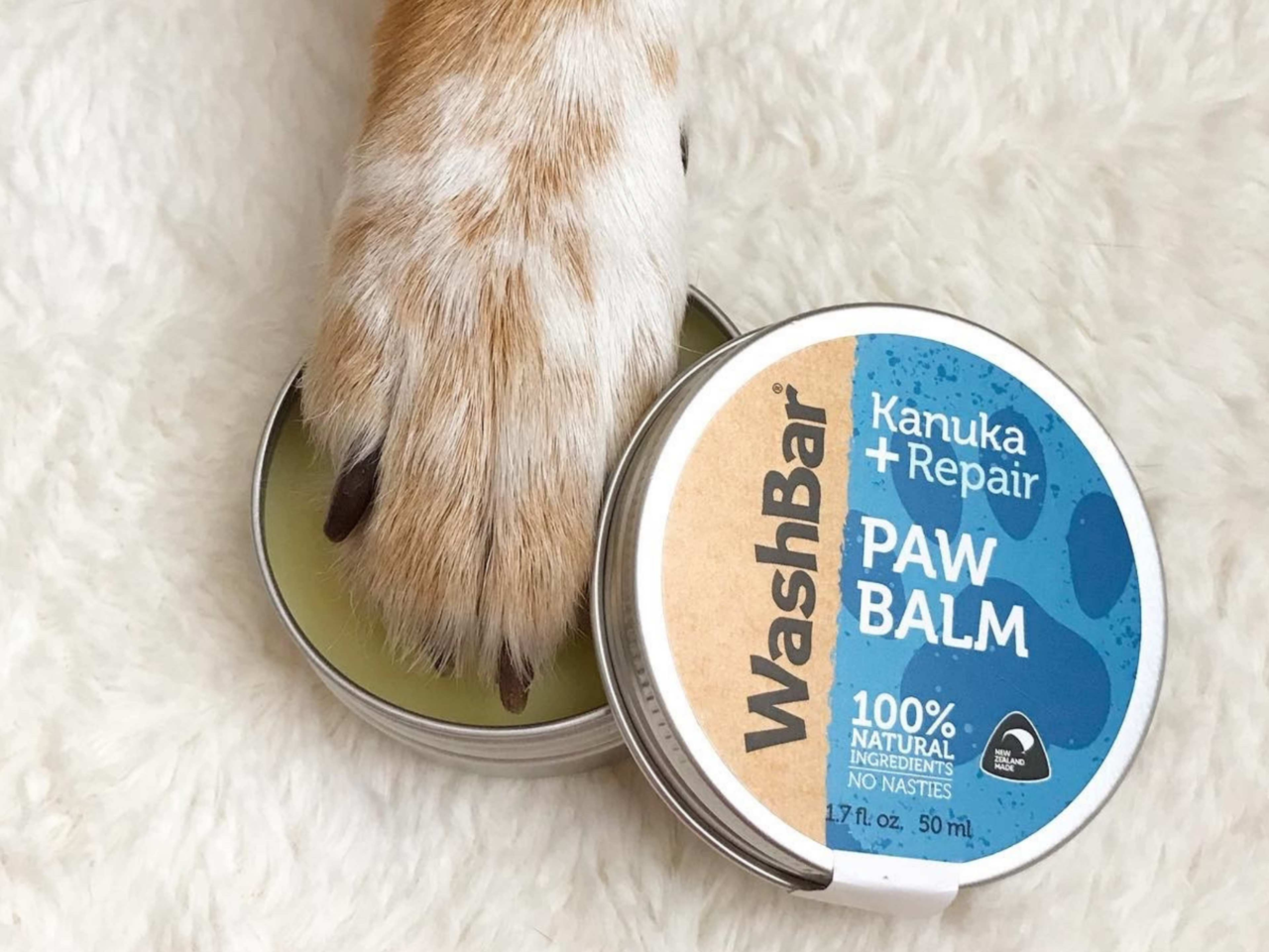 Hot Pavements: How To Protect Paws This Summer