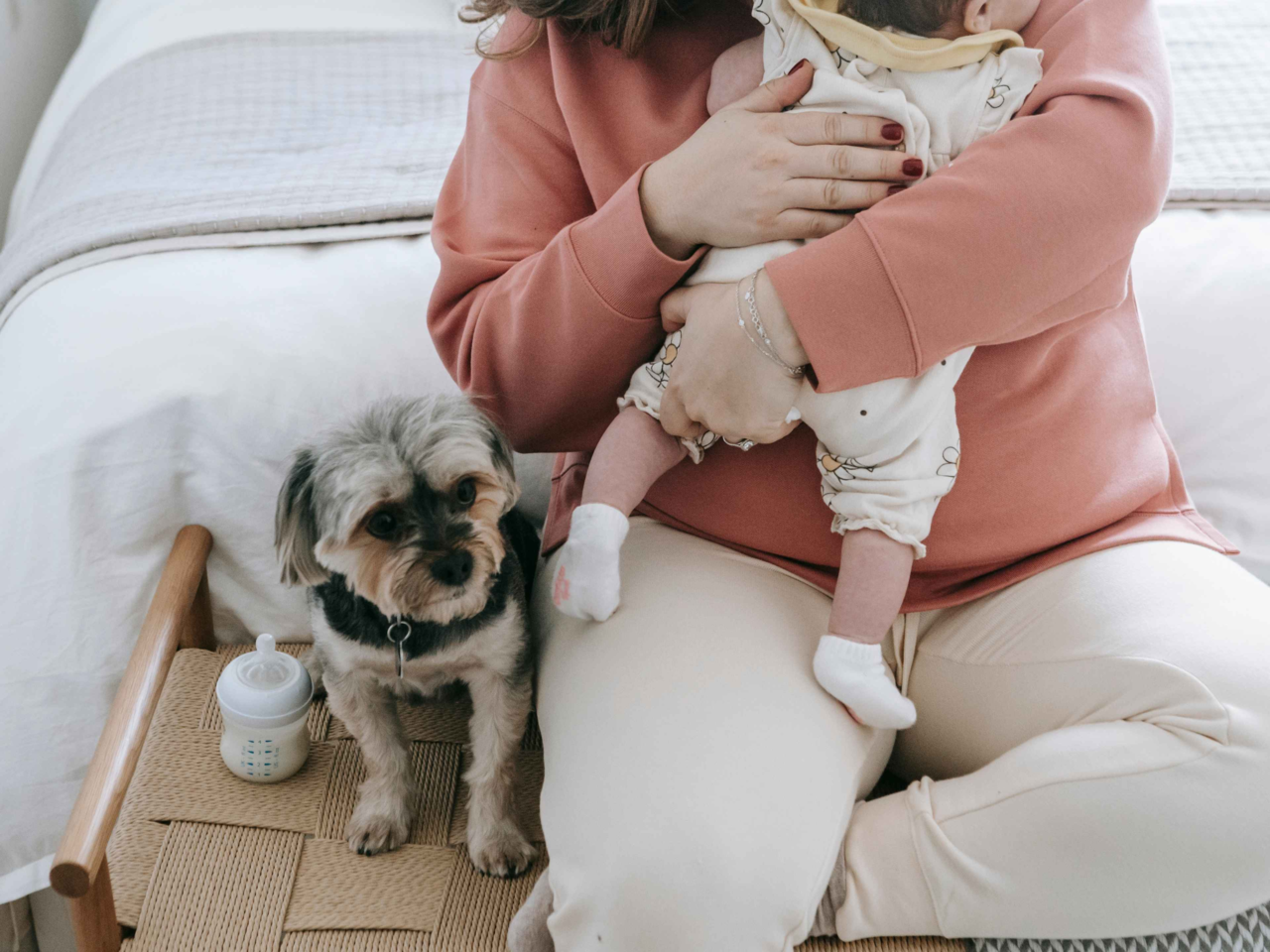 How To Prepare Your Dog For a New Baby: A Step-by-Step Guide