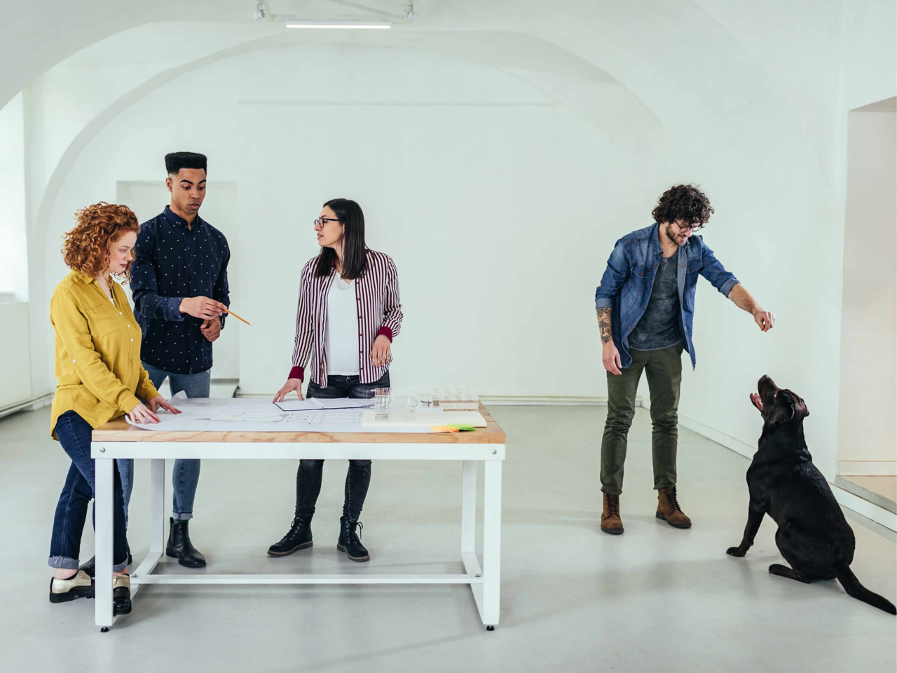 Training Your Dog for the Office: Essential Commands for a Calm Workplace Pup