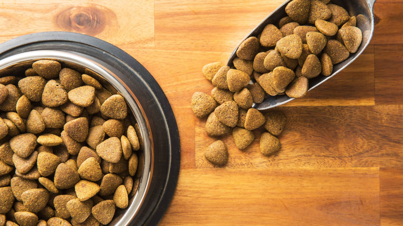 How to Store Pet Food Properly: Keep It Fresh, Safe and Nutritious