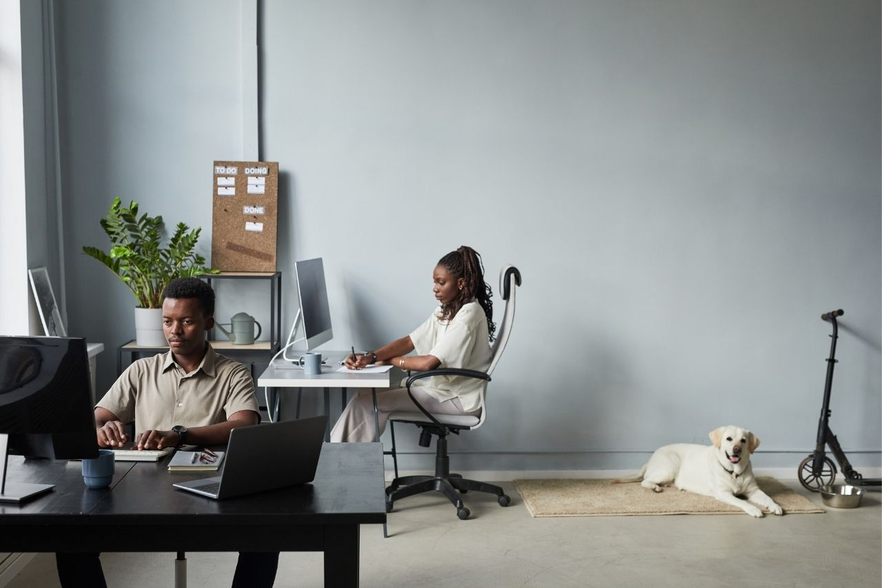 Is Your Dog Ready for the Office? How to Tell If They’ll Thrive at Work