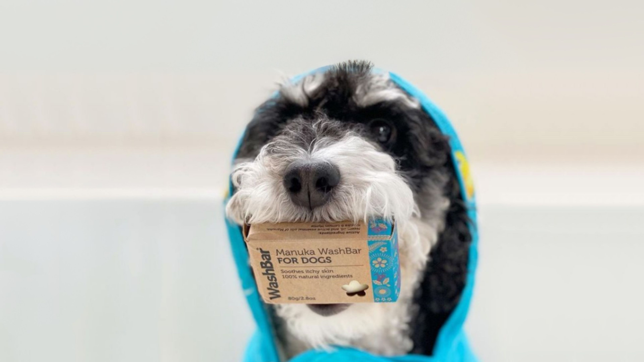 WashBar Review: Natural Grooming For Kiwi Dogs