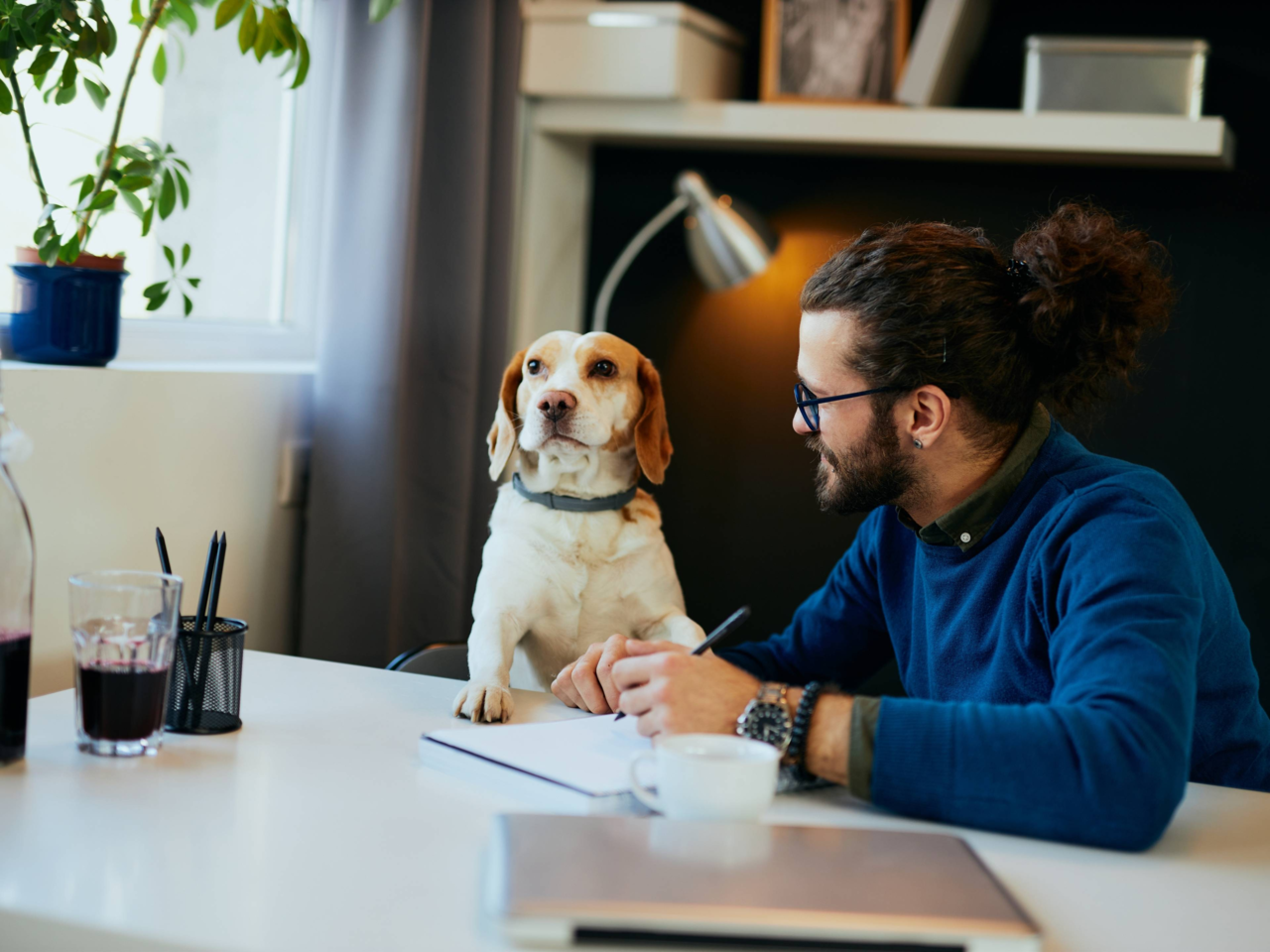 How To Create The Perfect Dog-Friendly Home Office Setup
