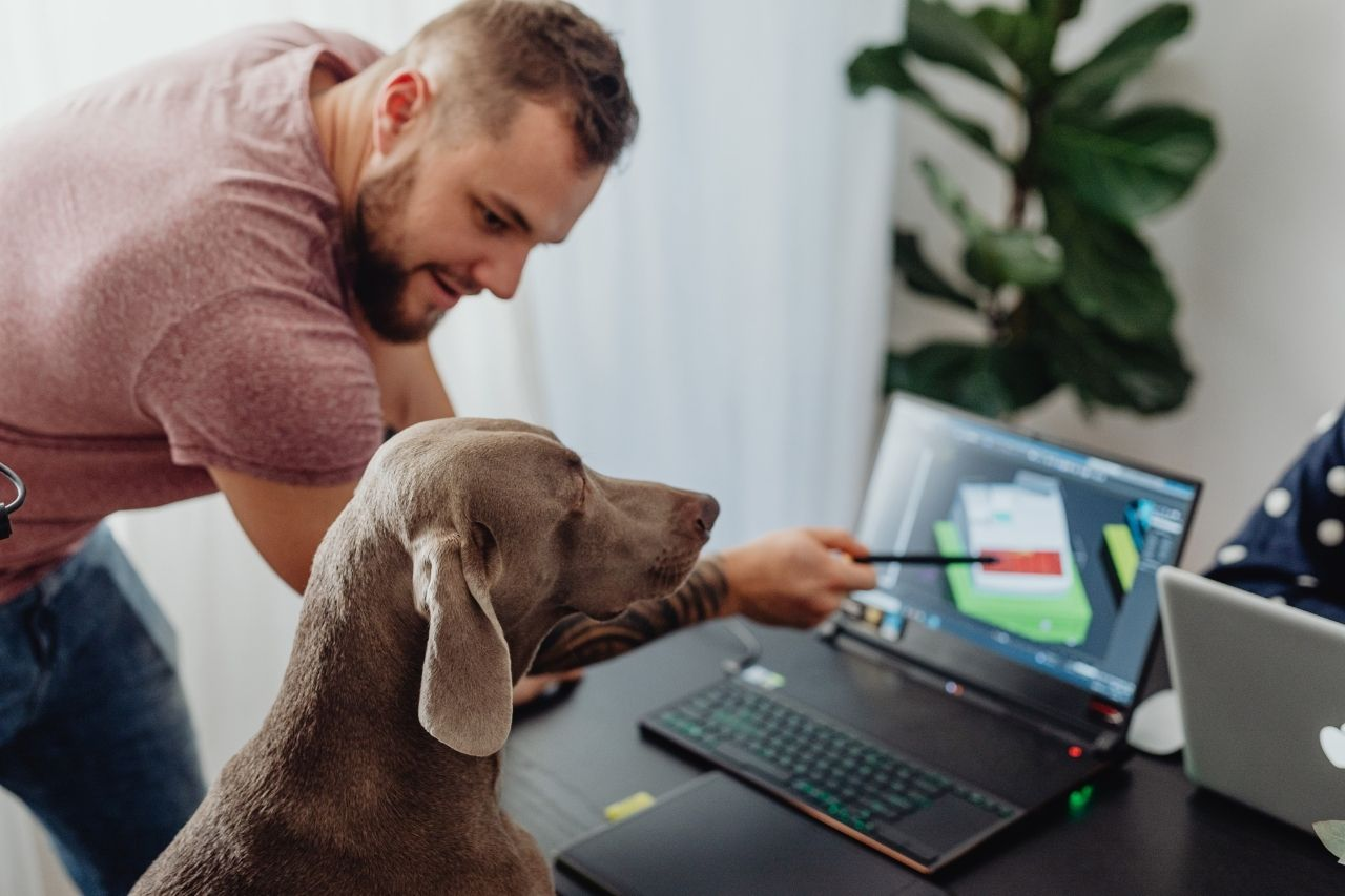Benefits of Bringing Your Dog to Work for Mood, Productivity and Wellbeing