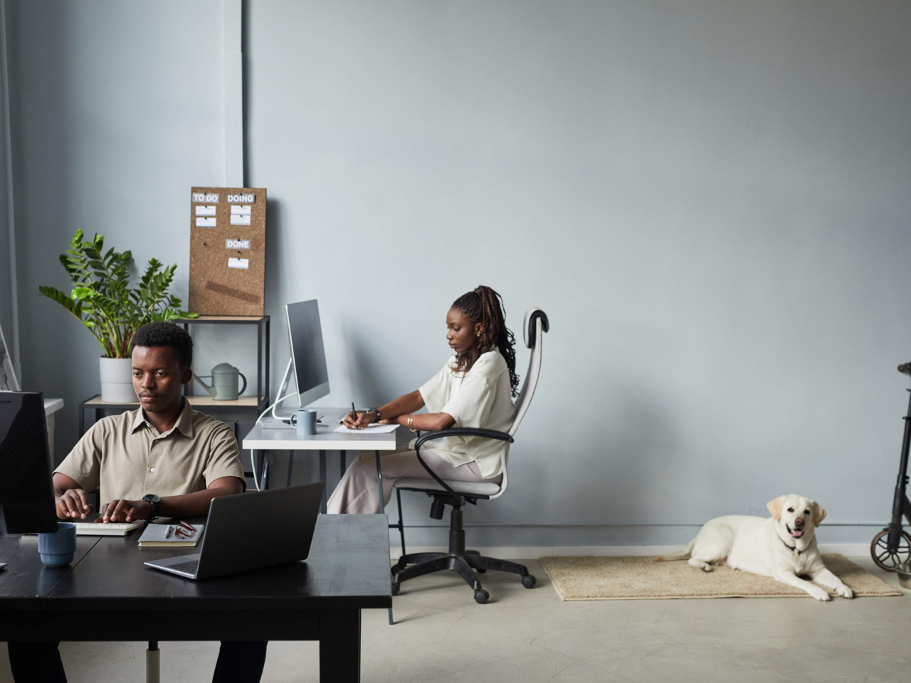 Essential Office Etiquette for Dogs: How to Create a Dog-Friendly Workplace