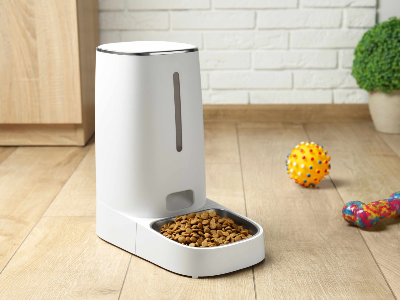 How to Choose the Best Automatic Pet Feeder for Dogs and Cats