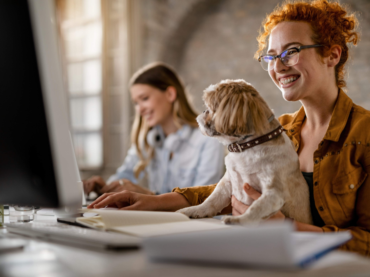 Top Dog Breeds for Office Life: Calm, Friendly, and Workplace-Ready Dogs