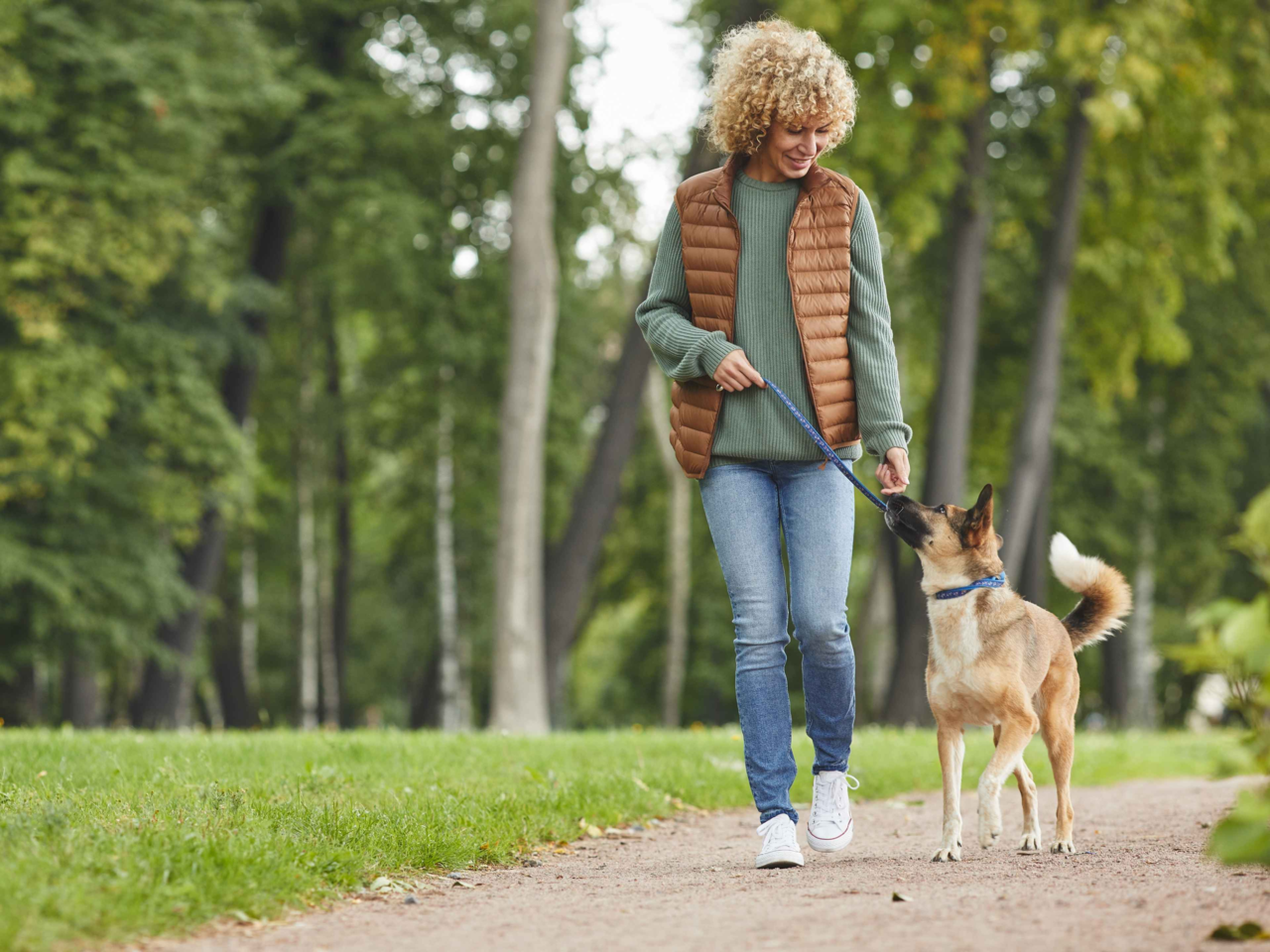 Leash Pulling Solutions: How to Train Your Dog for Loose Lead Walking