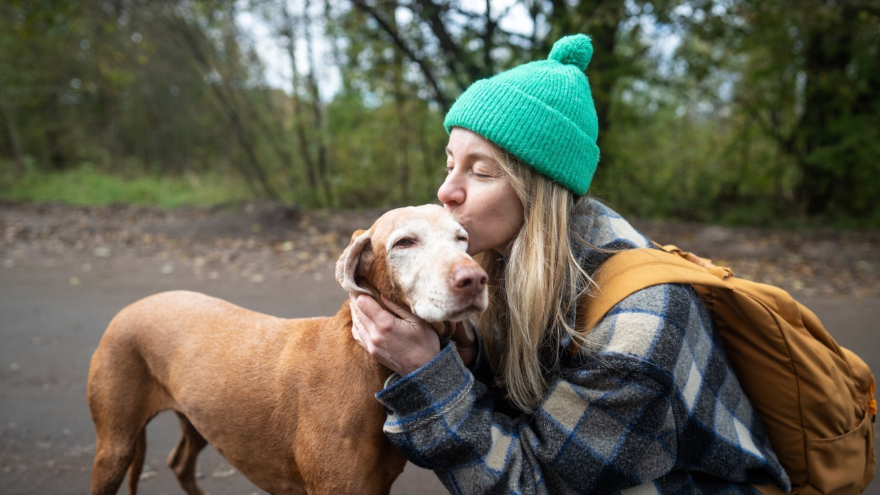 Senior Dog Cuddle Time: Why It Goes Up With Age