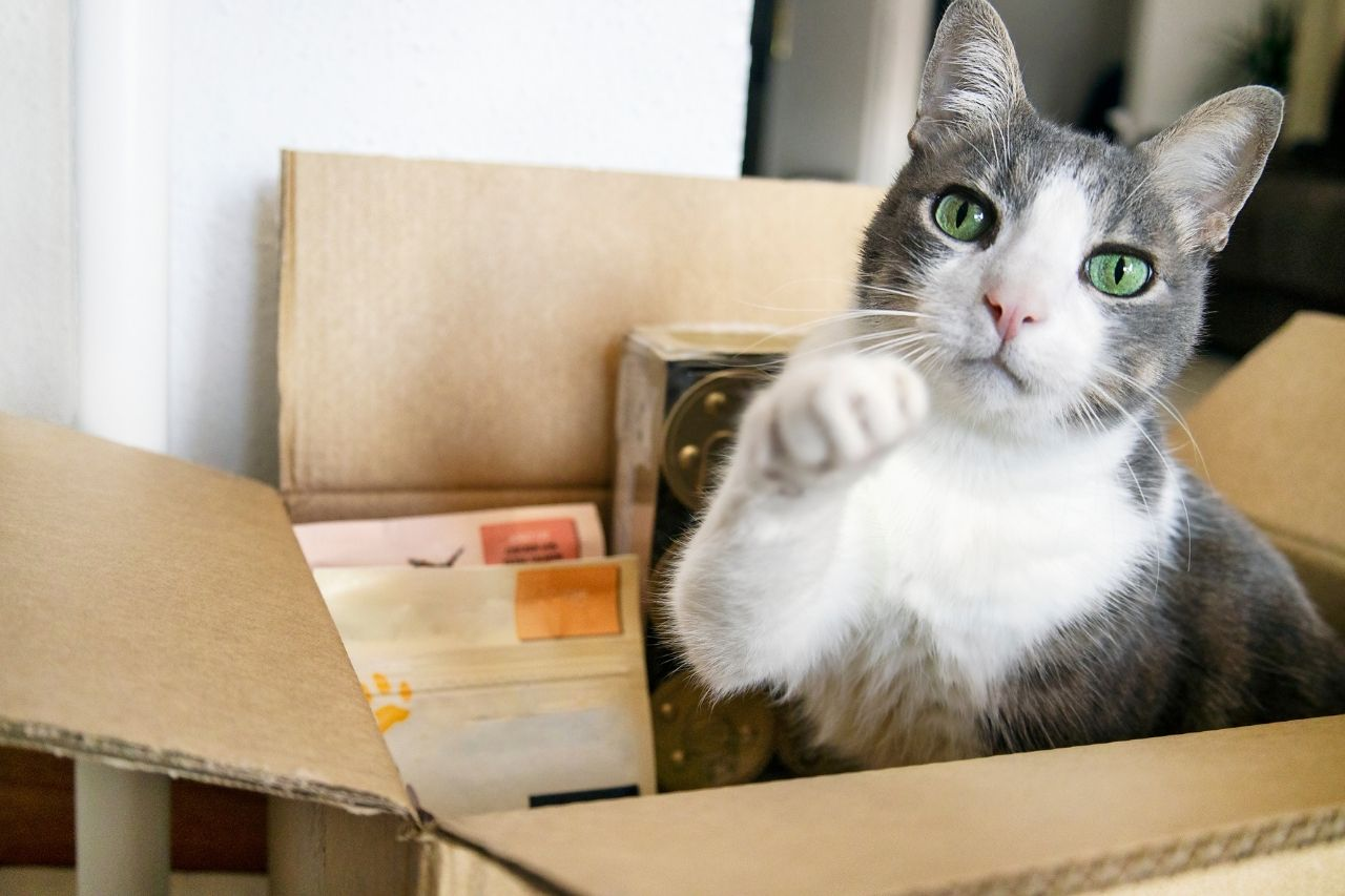 Autodeliver vs One-Off Orders: Which Saves You More?