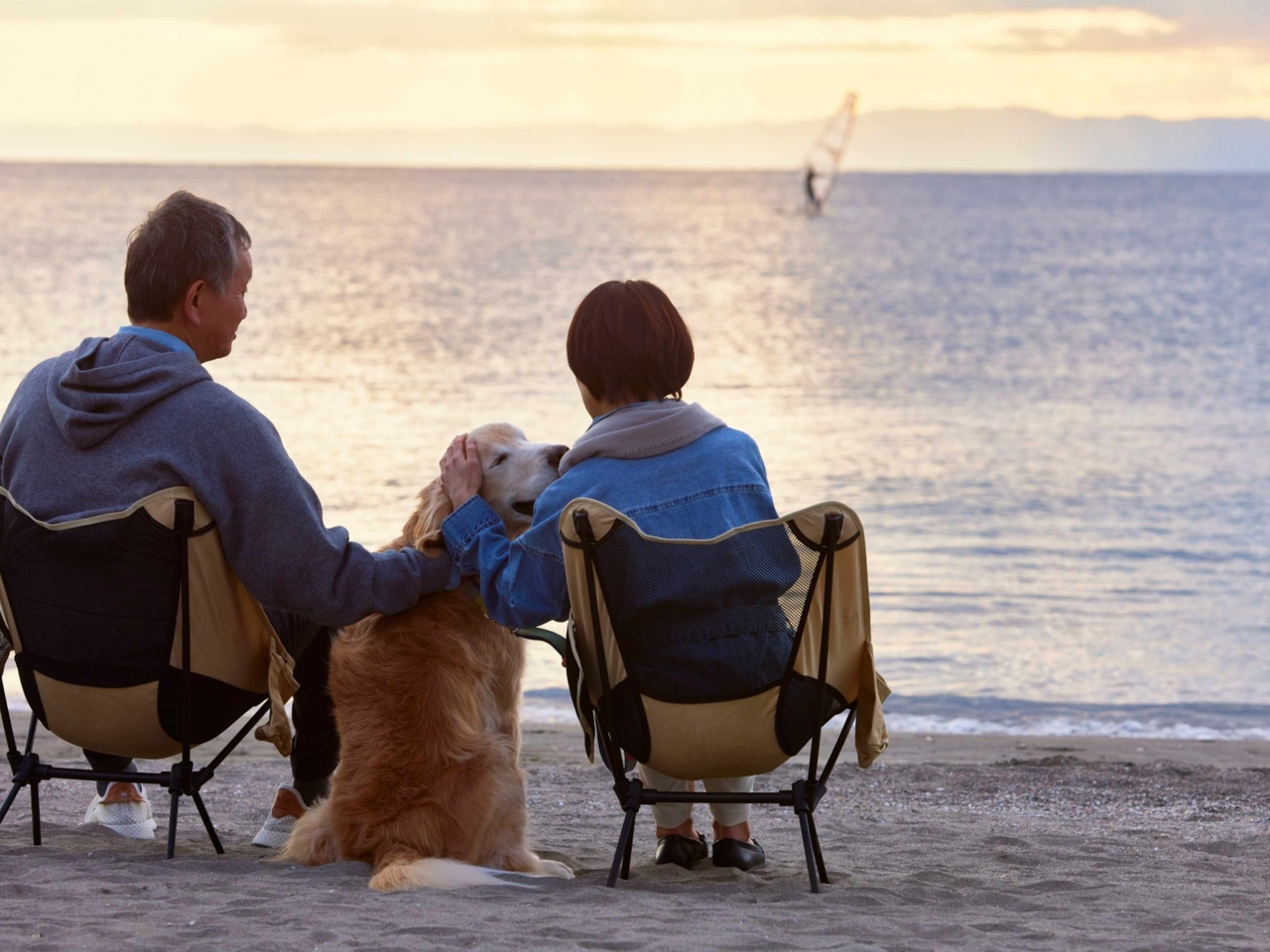 Best Dog Breeds for Travel-Loving Families in New Zealand