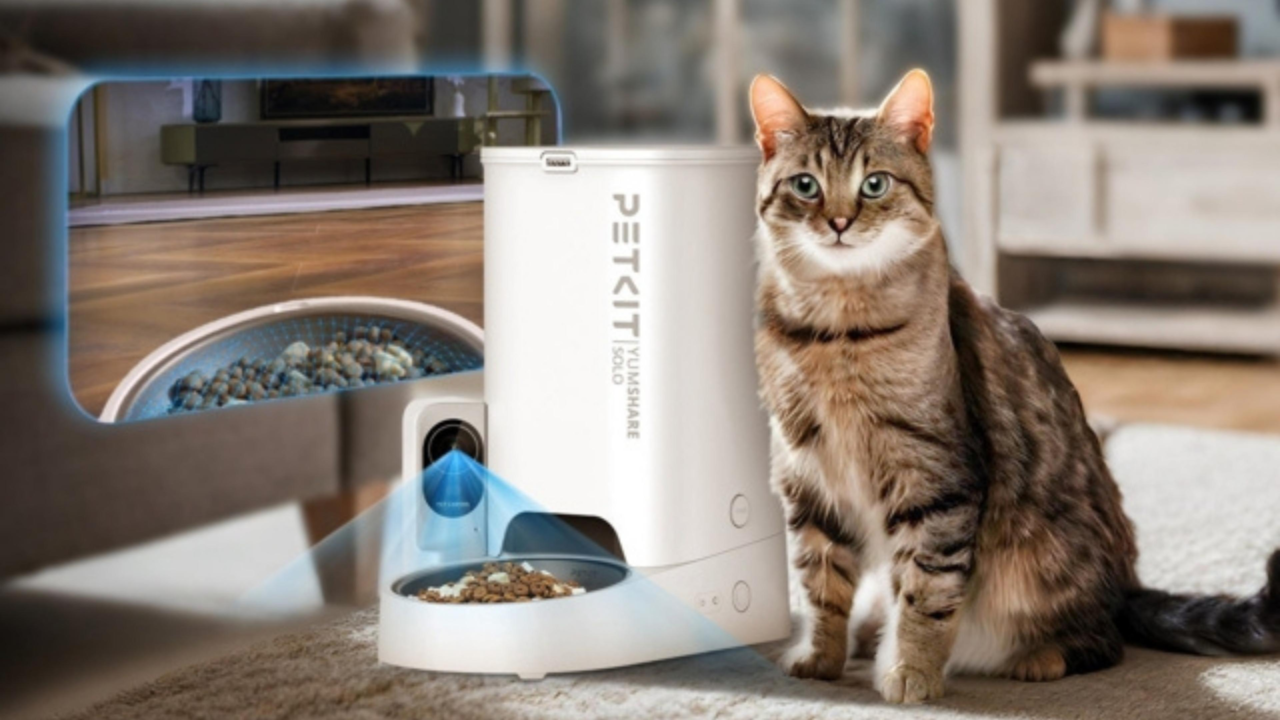 Pet Tech 2025: Smart Gadgets Revolutionising Pet Care in New Zealand Pet Tech 2025: Smart Gadgets Revolutionising Pet Care in New Zealand