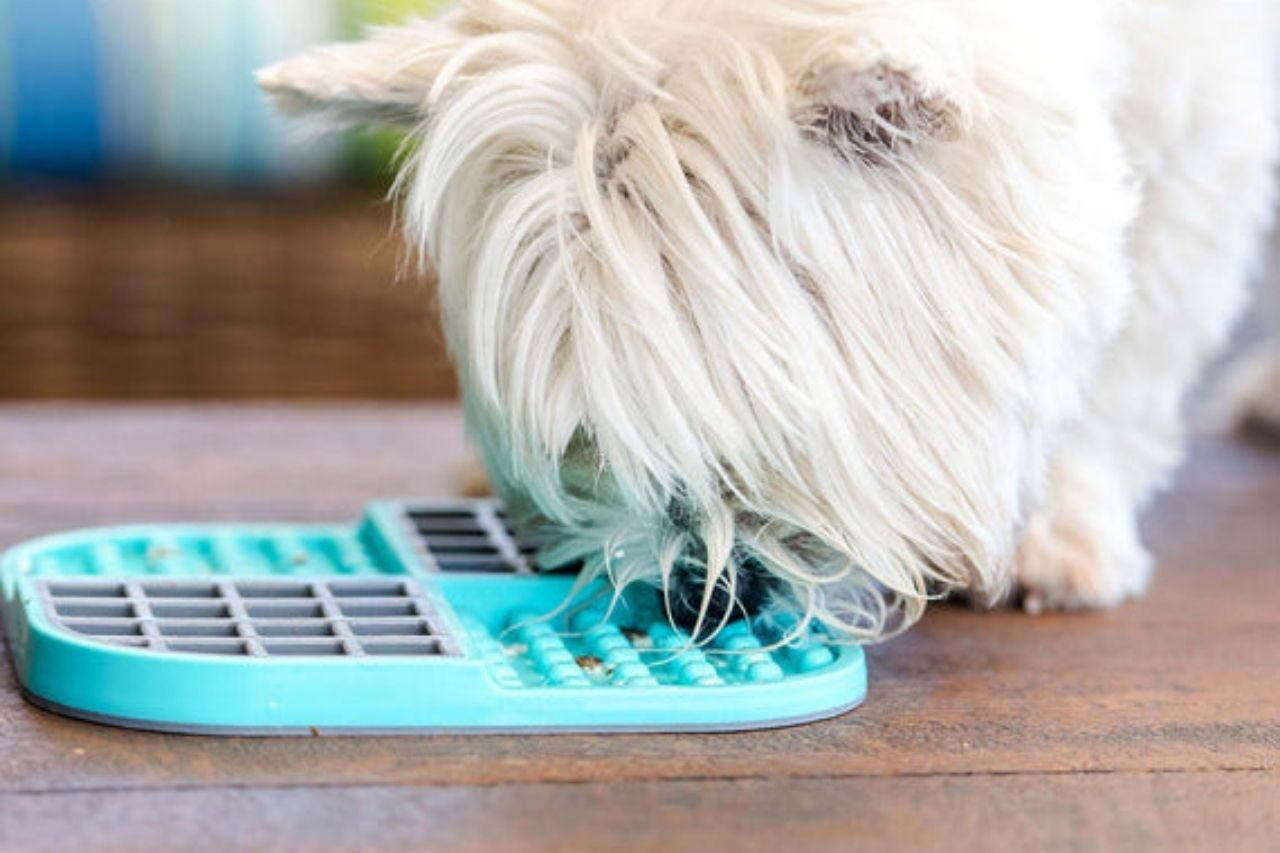Healthy Lick Mat Recipes for Dogs That Boost Calm and Enrichment