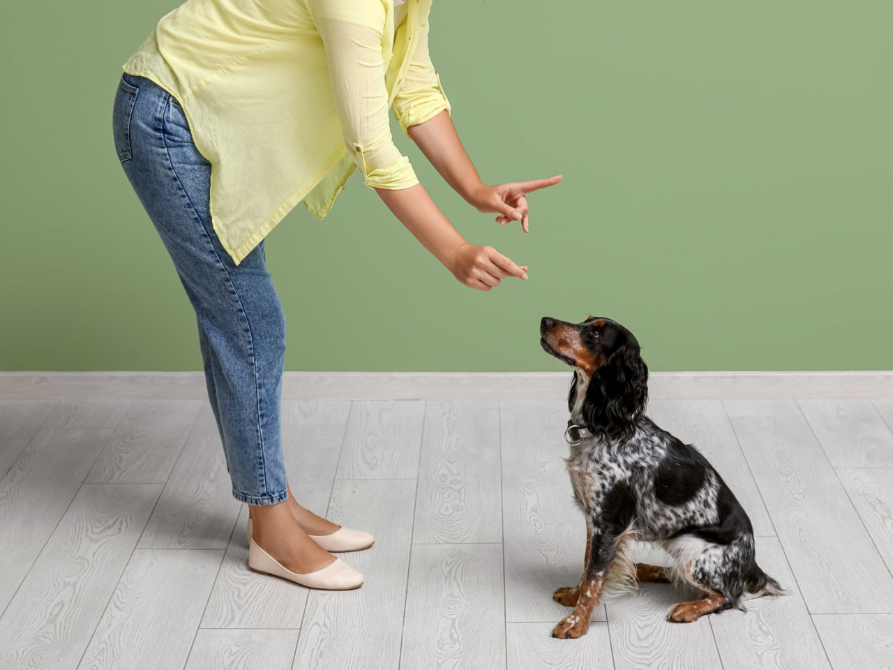Decoding Your Dog’s Body Language: How to Improve Training and Build Trust