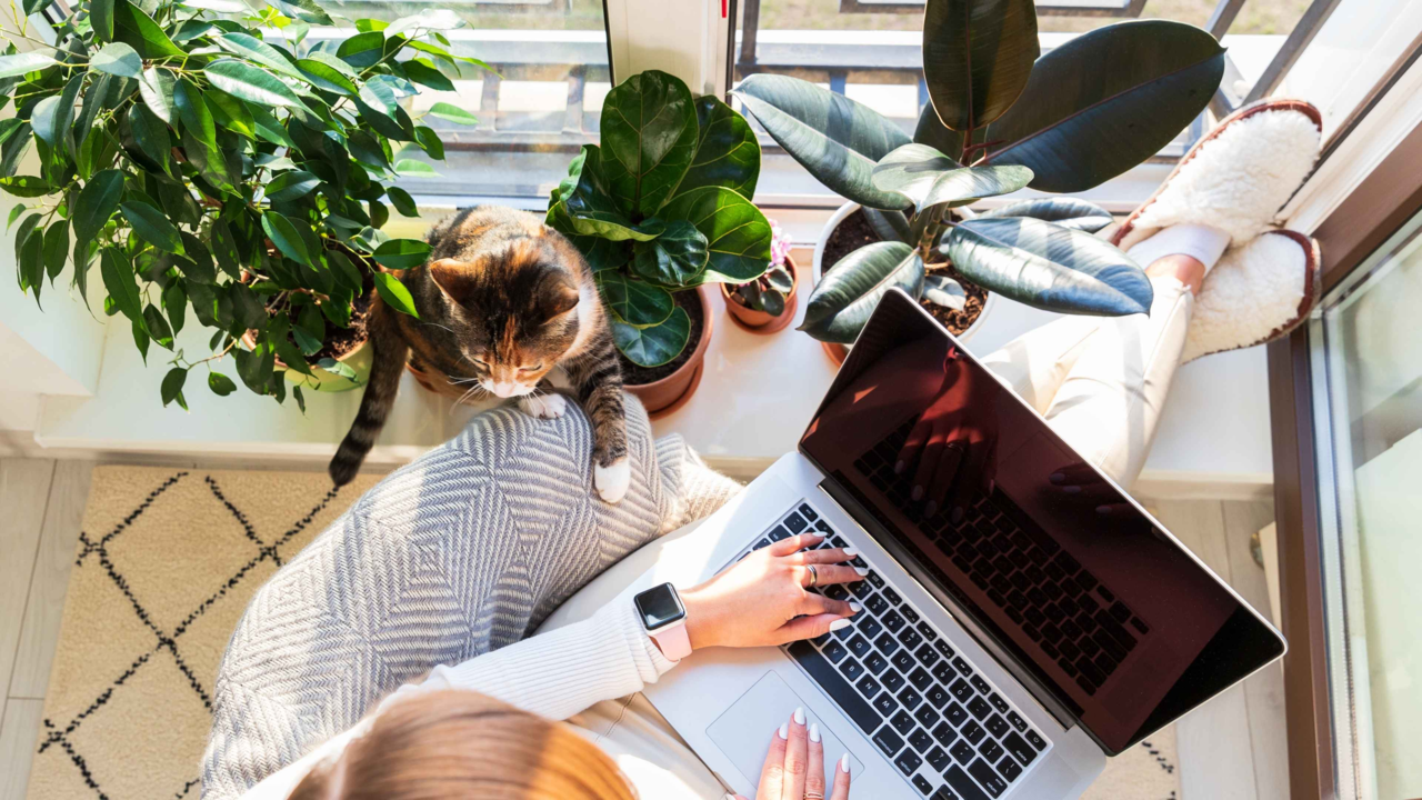 NZ Guide to Safe & Toxic Houseplants for Pets