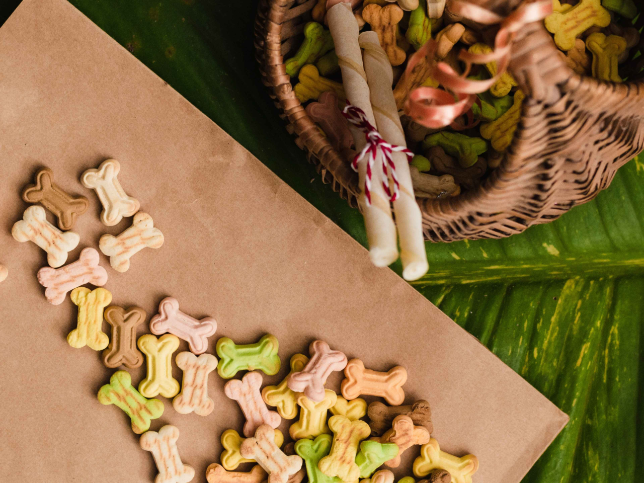 Vegetarian vs Meat Dog Treats: How to Choose the Best for Your Pup