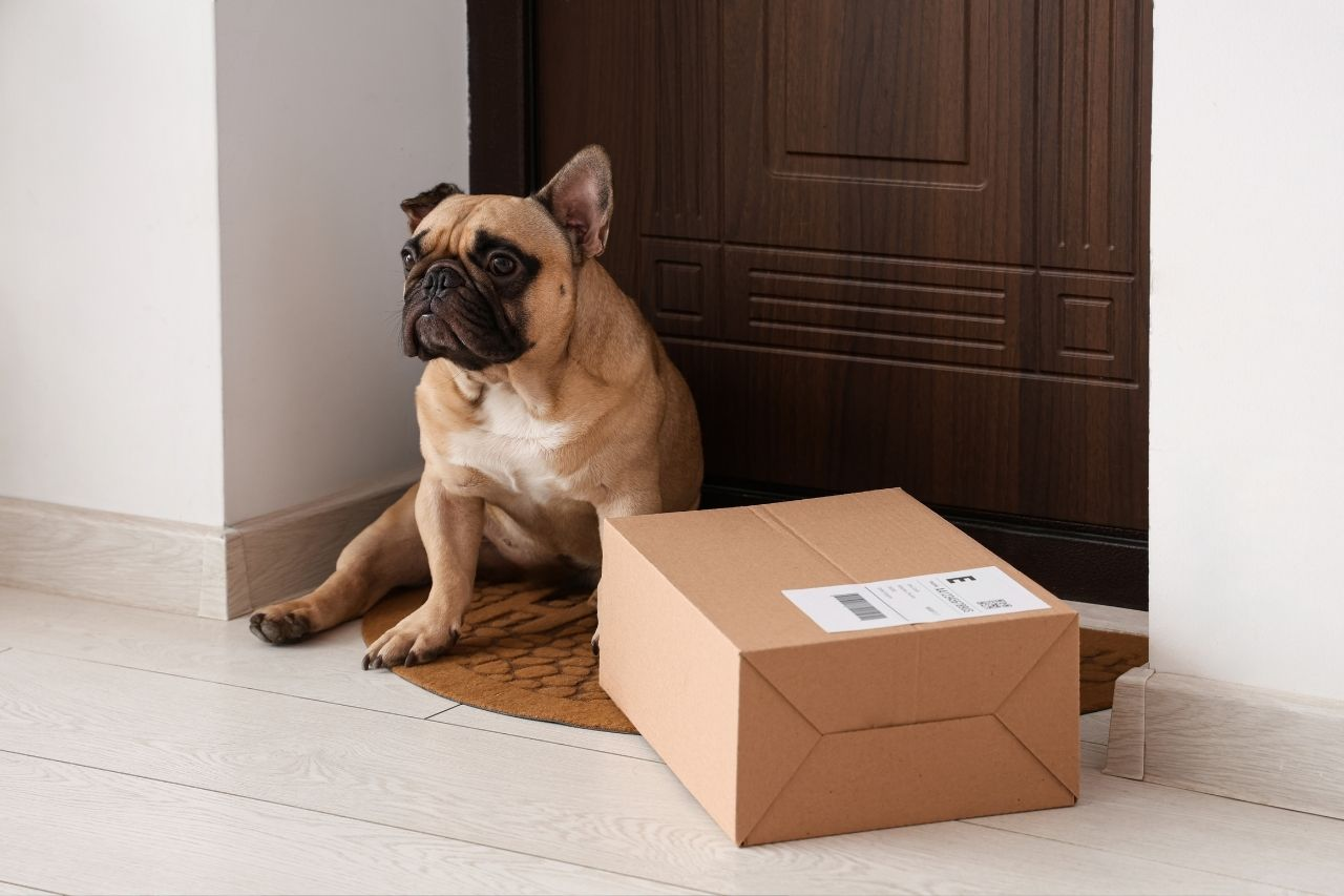 Need Pet Supplies Fast? 2-Hour Delivery | Petdirect