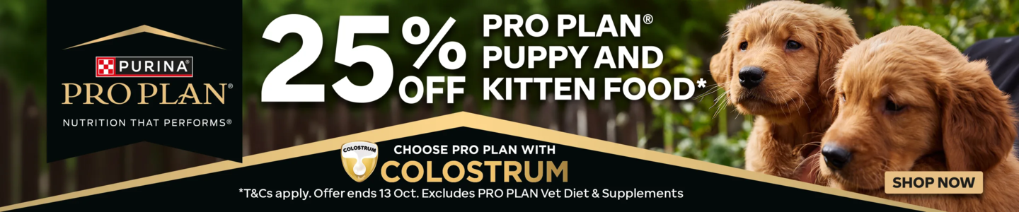 00HP - Pro Plan Homepage Banner Oct 2026