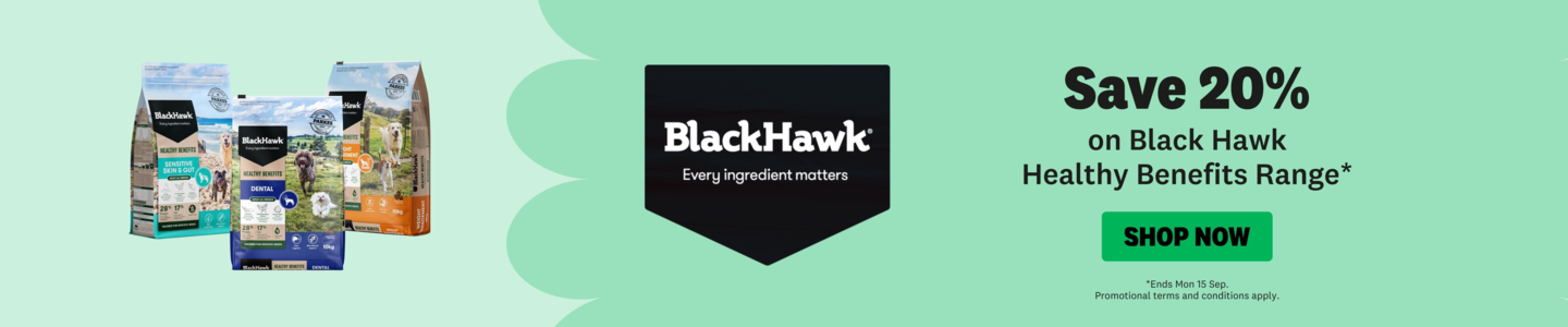 00HP -  Black Hawk Healthy Benefits Homepage Banner Sep 2025