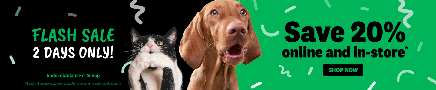  00HP -  Flash Sale Homepage Banner Sep 2025