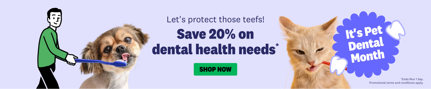 00HP -  Dental Health Homepage Banner Aug 2025