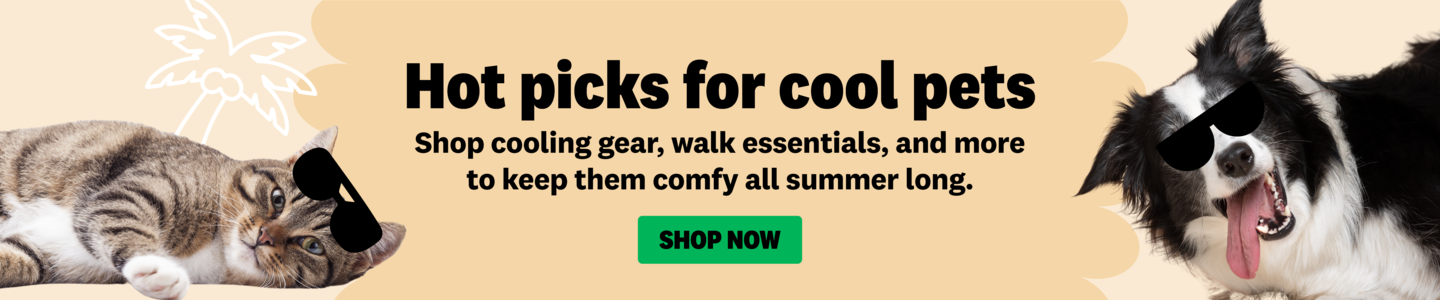 00HP Summer Shop Homepage Banner Nov 2025