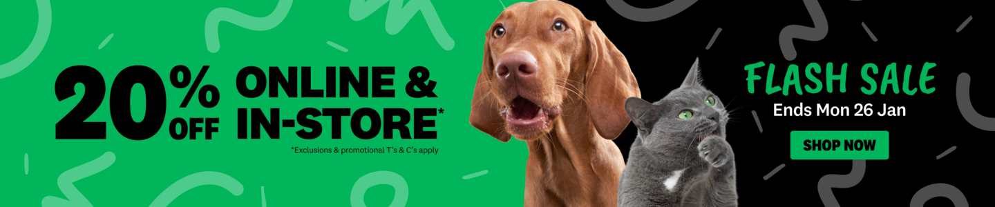 00HP -  Flash Sale General Homepage Banner Jan 2026