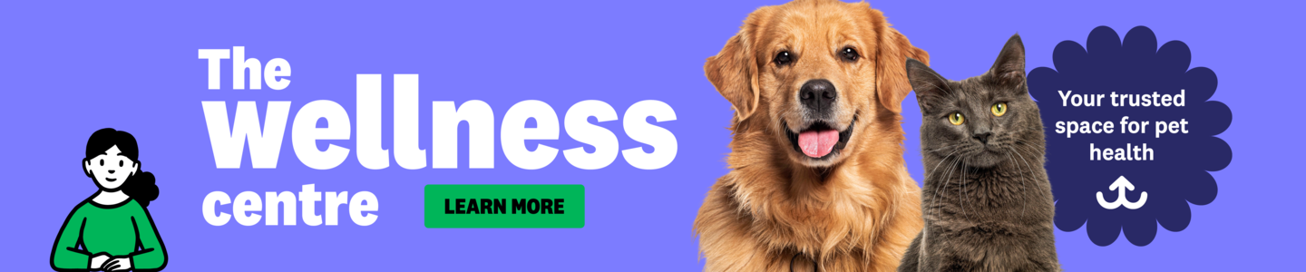00HP -  Wellness Centre Homepage Banner Oct 2025