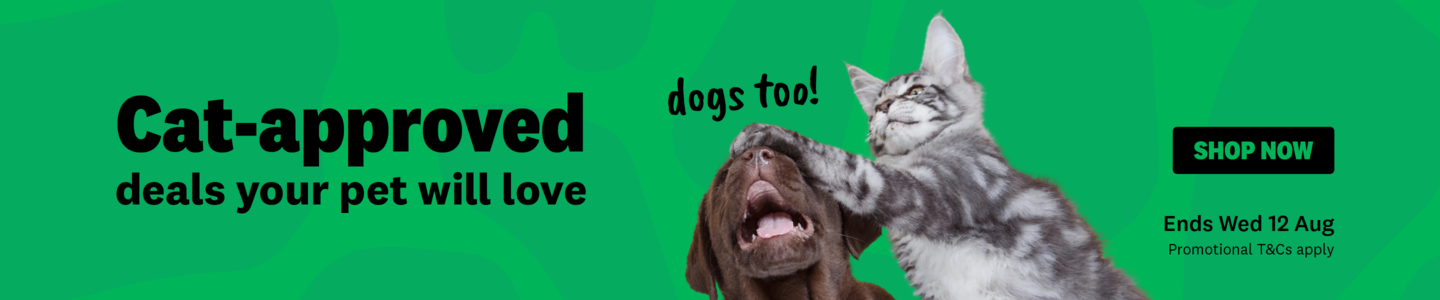 00HP - Cat Week General  Homepage Banner July 2026