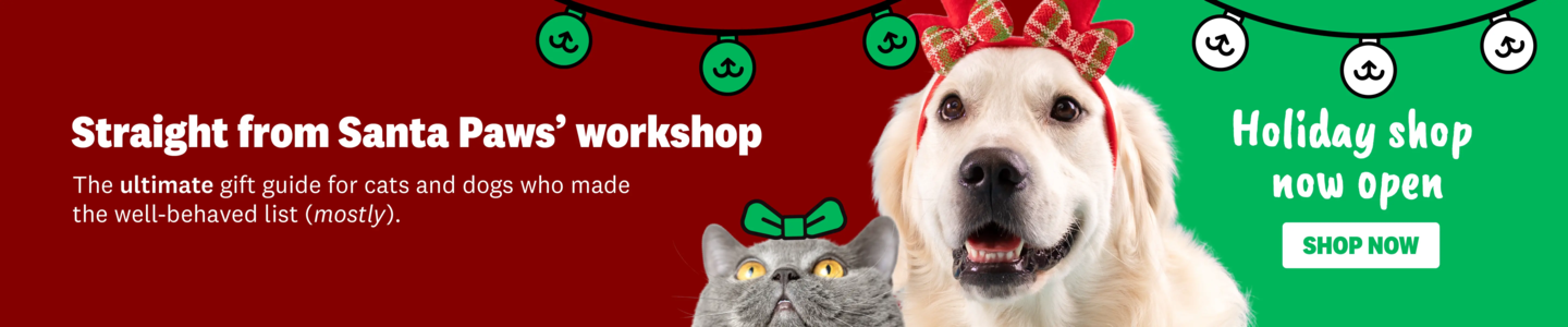  00HP - Holiday-Christmas Gift Shop Homepage Banner Dec 2025