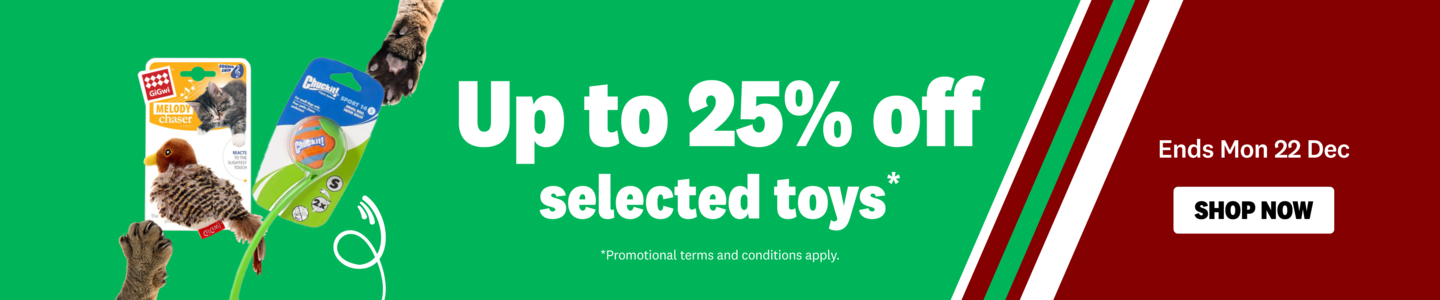 00HP - Holiday Season Toys Homepage Banner Dec 2025