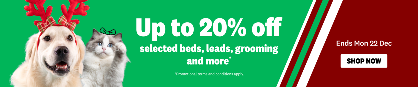 00HP - Holiday Season Acc Homepage Banner Dec 2025