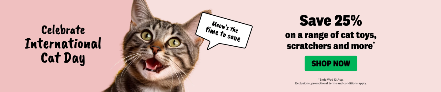 00HP -  INT CAT DAY Homepage Banner Aug 2025