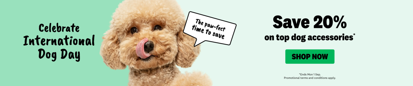 00HP -  INT DOG DAY Homepage Banner Aug 2025