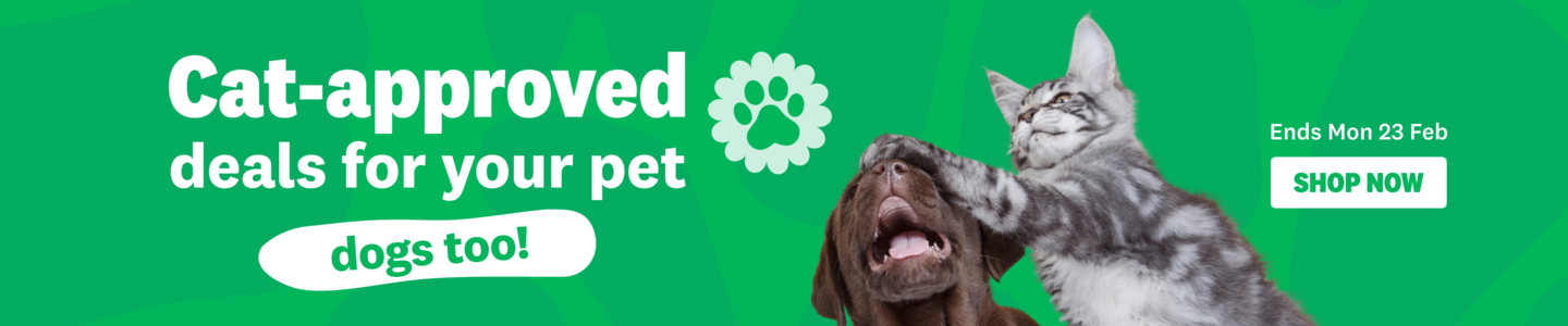 00HP -  Cat Approved Deals General Homepage Banner Feb 2026