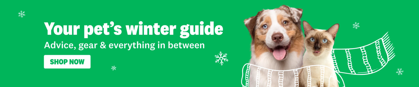 00HP - Winter Hub  Homepage Banner May 2026