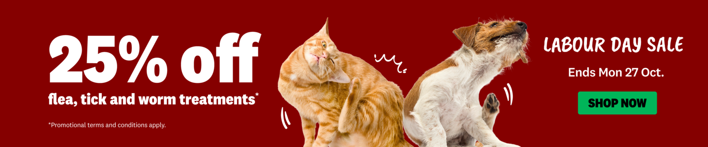 00HP -  Labour Day Flea Homepage Banner Oct 2025