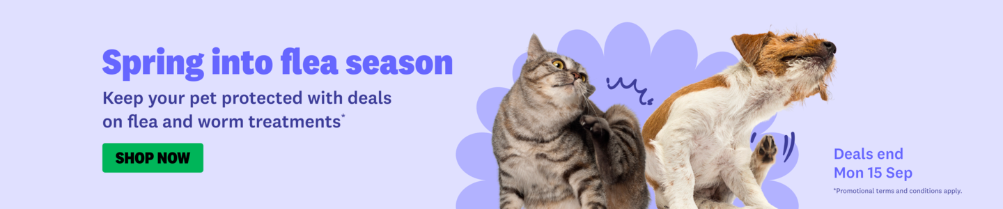 00HP -  Flea Season Homepage Banner Sep 2025