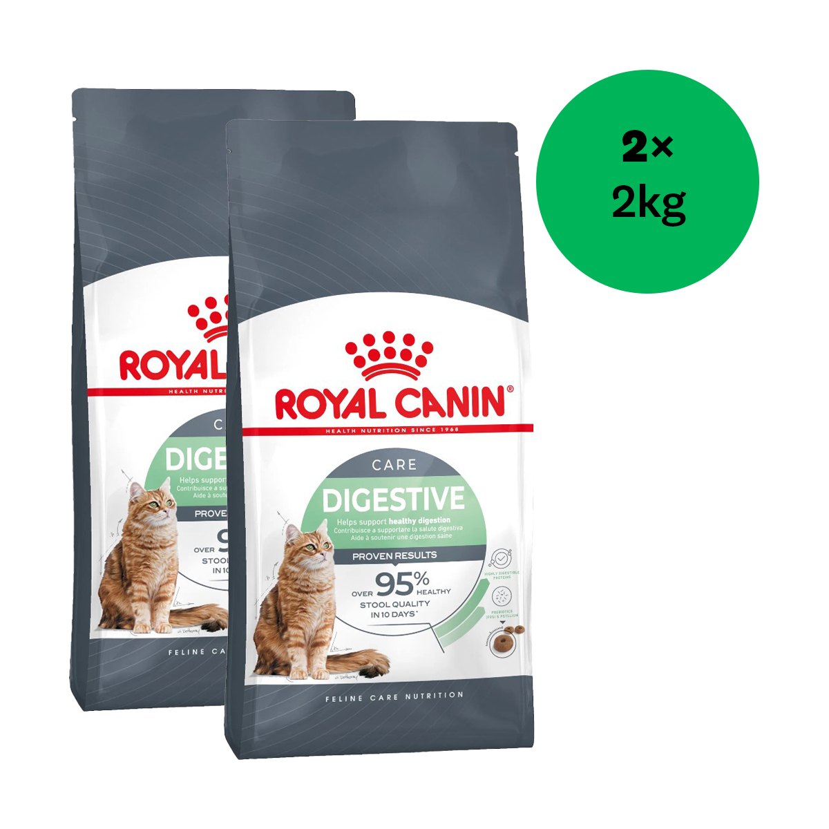 Royal Canin Digestive Care Dry Cat Food Petdirect
