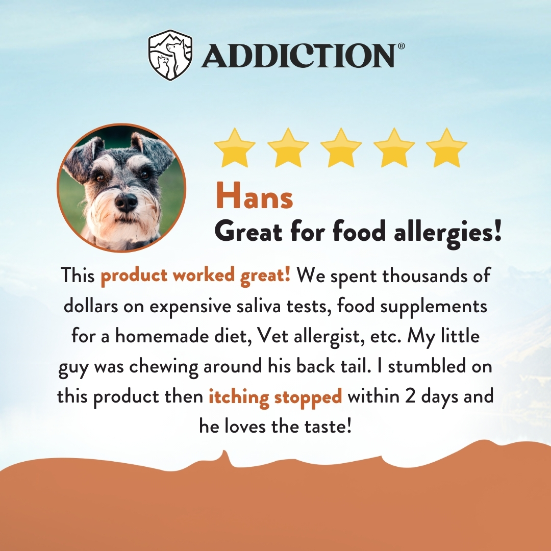 Addiction GrainFree Wild Kangaroo & Apples Dry Dog Food Pet Direct