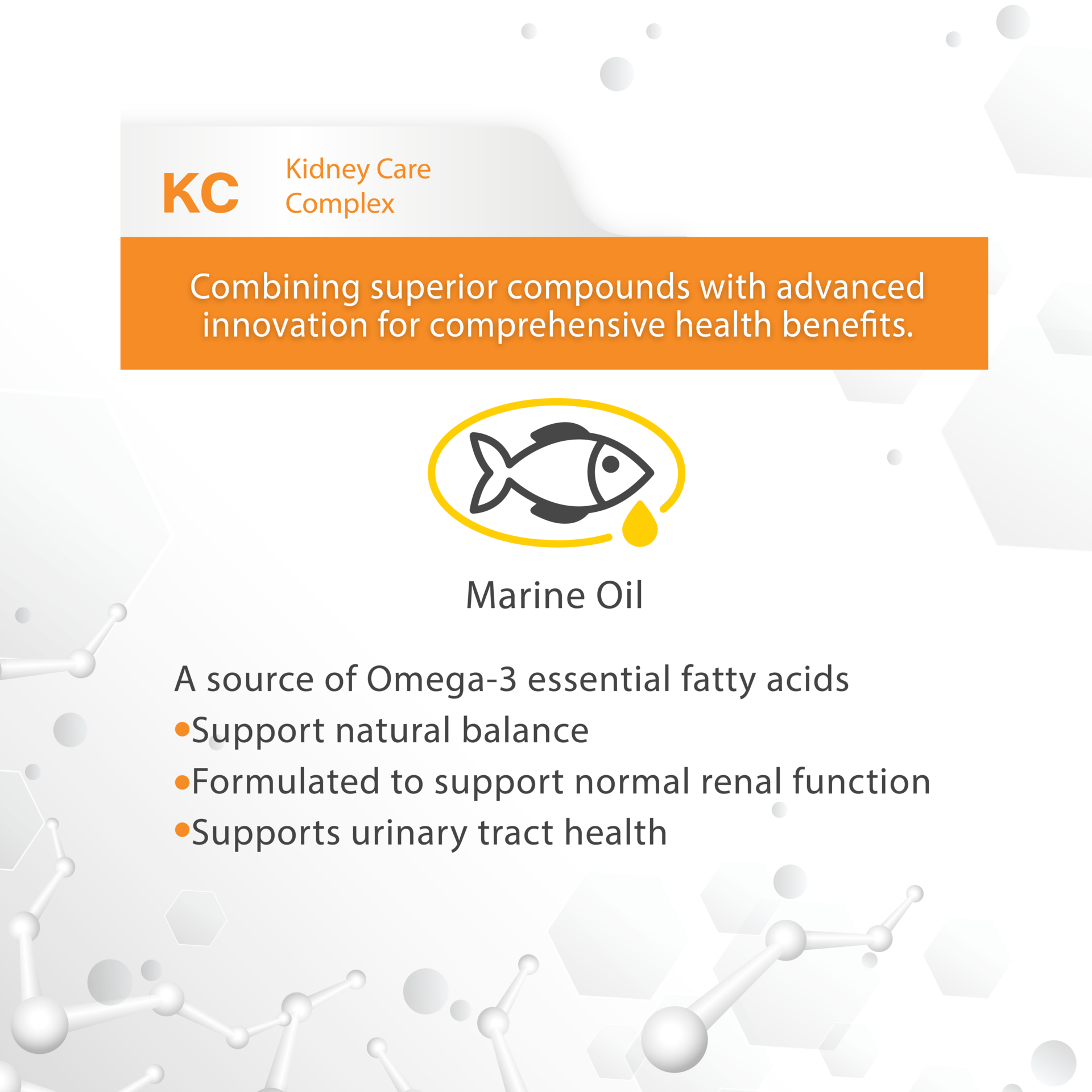 VetSynova VF+ Core KC Kidney Care Complex Cat Supplement - Petdirect