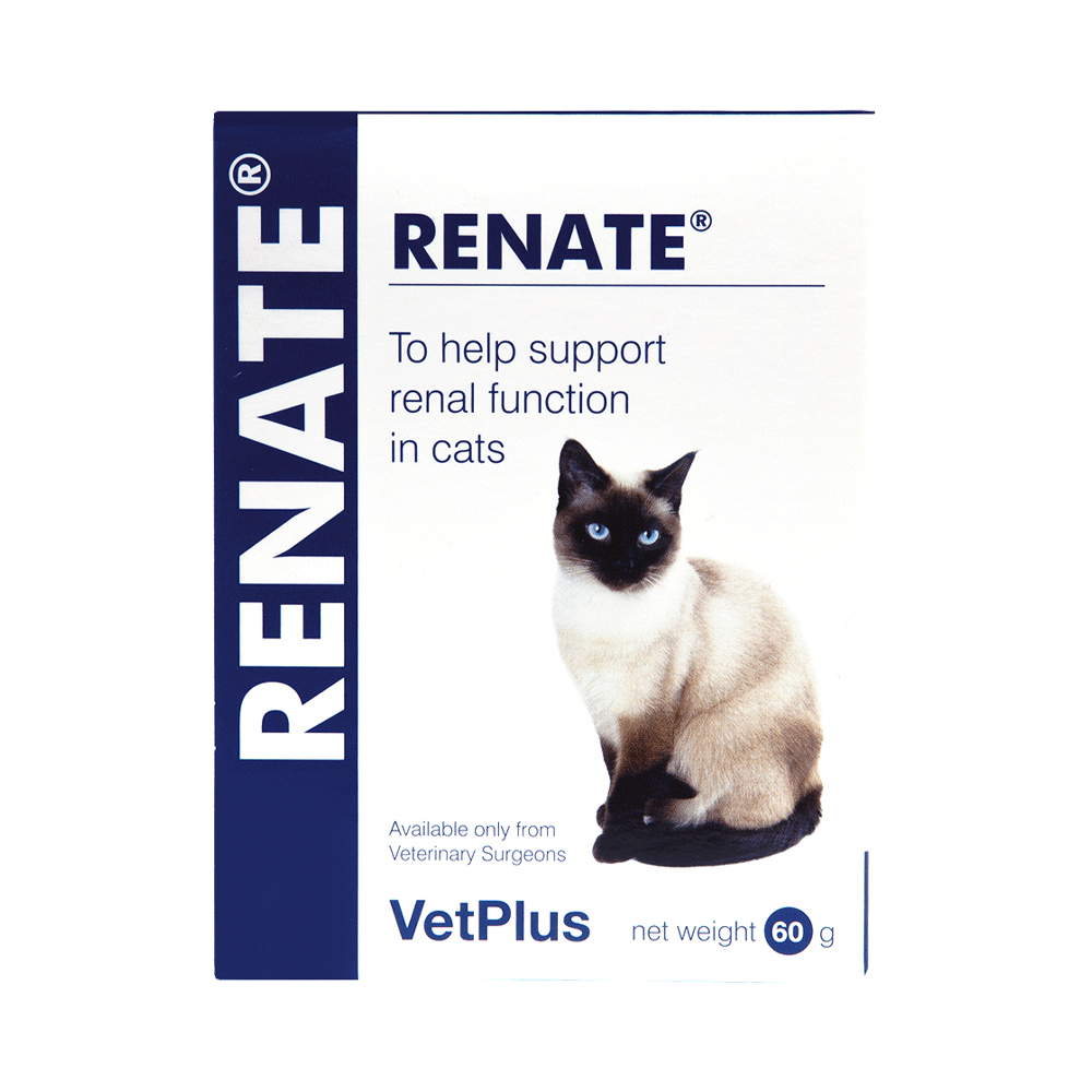 View of Support Cat Urinary Tract Health with Quality Products - Pet Direct